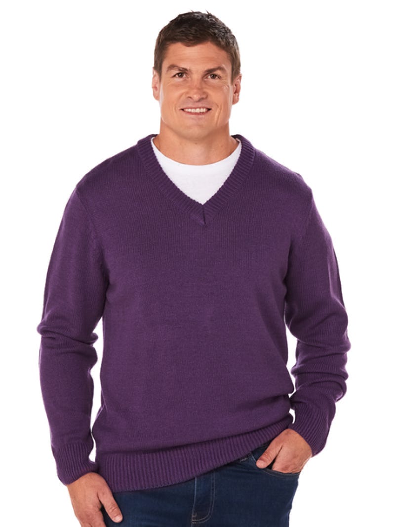 Men's purple on sale v neck sweater