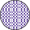 Purple White Check